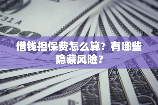 武汉借钱担保费怎么算？有哪些隐藏风险？