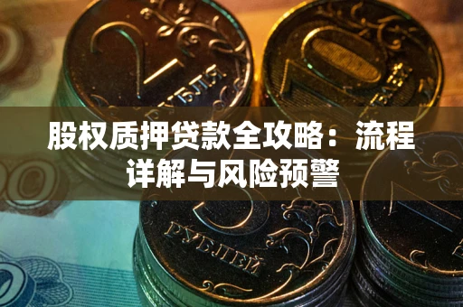 武汉股权质押贷款全攻略：流程详解与风险预警