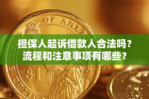 武汉担保人起诉借款人合法吗？流程和注意事项有哪些？