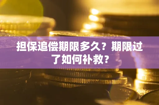 武汉担保追偿期限多久？期限过了如何补救？