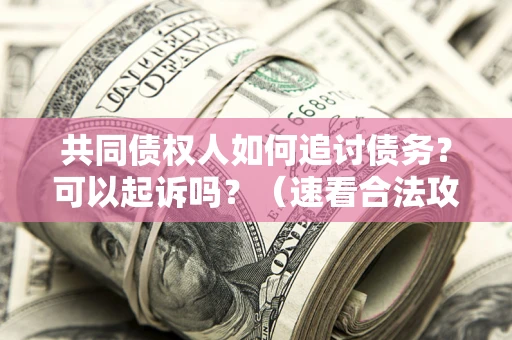武汉共同债权人如何追讨债务？可以起诉吗？（速看合法攻略）